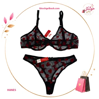 ست شورت و سوتین برند هانس Hanes کد 102